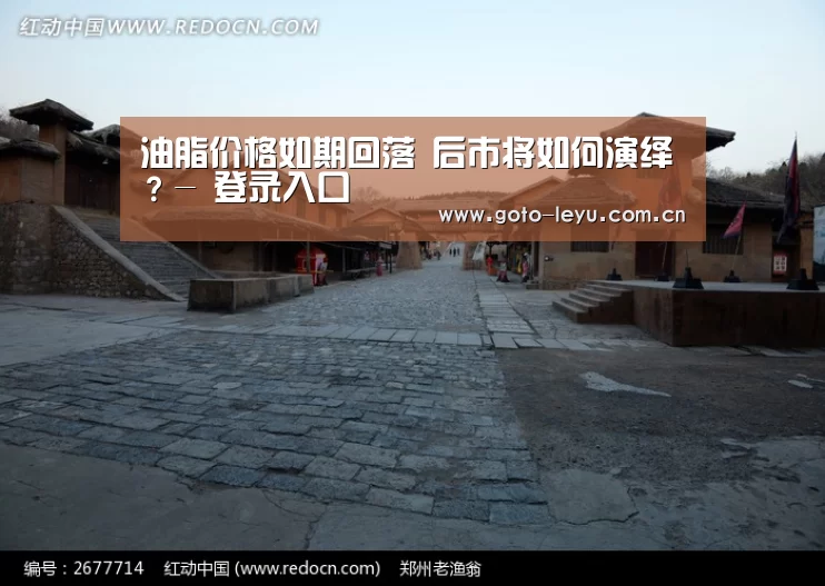  登录入口