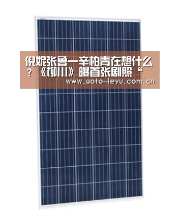 倪妮张鲁一辛柏青在想什么?《柳川》曝首张剧照“ 登录入口”(图1) 乐鱼官方首页