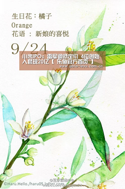  乐鱼官方首页 