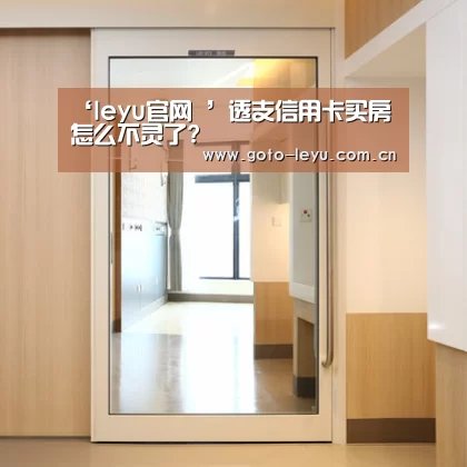 ‘leyu官网 ’透支信用卡买房怎么不灵了?(图4) 登录入口