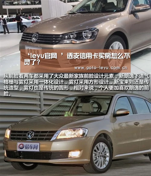 ‘leyu官网 ’透支信用卡买房怎么不灵了?(图2) leyu官网