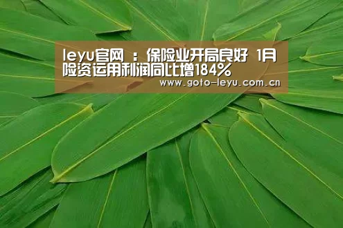 leyu官网 :保险业开局良好 1月险资运用利润同比增184%(图3) 登录入口
