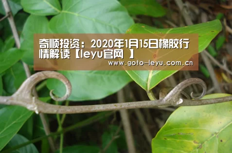 奇顺投资:2020年1月15日橡胶行情解读【leyu官网 】(图1) 乐鱼官方首页