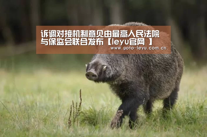 leyu官网 
