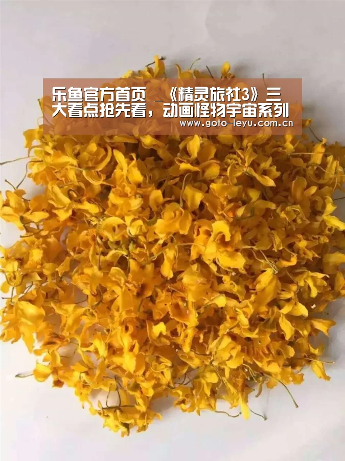 乐鱼官方首页 _《精灵旅社3》三大看点抢先看,动画怪物宇宙系列再出新片(图3) leyu官网