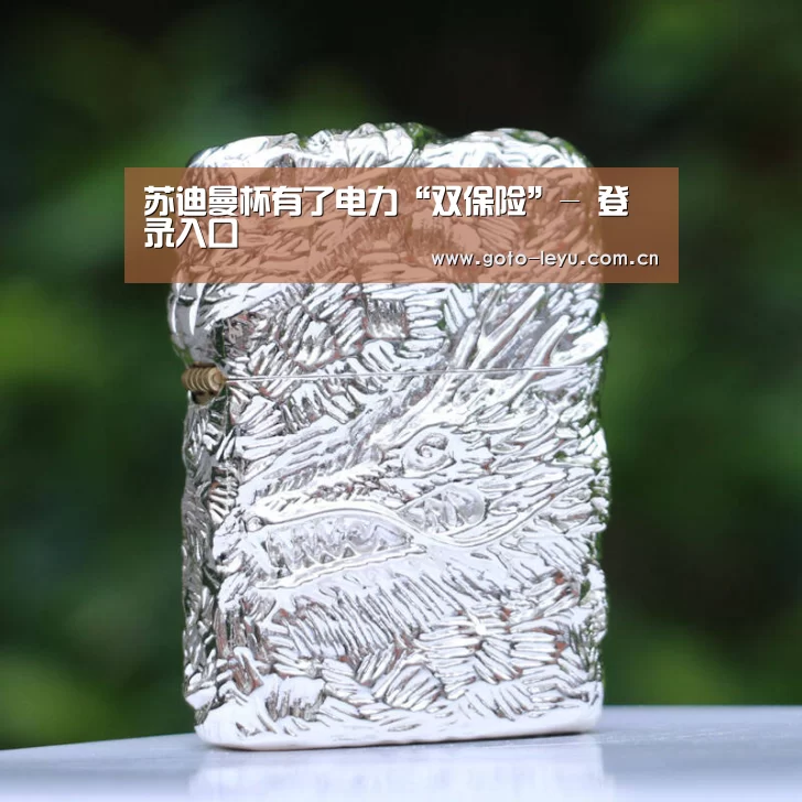  登录入口