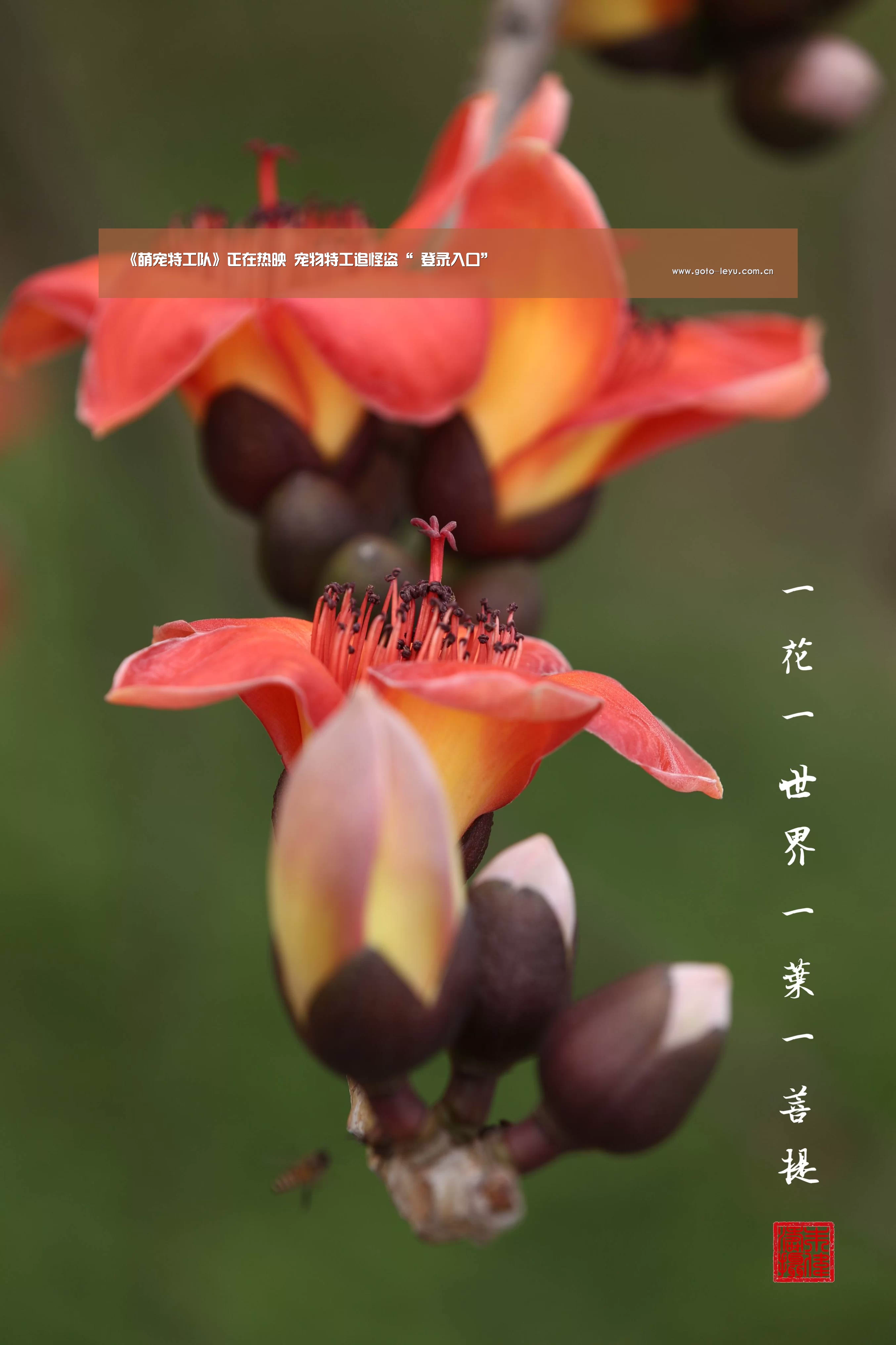 《萌宠特工队》正在热映 宠物特工追怪盗“ 登录入口”(图2) 乐鱼官方首页