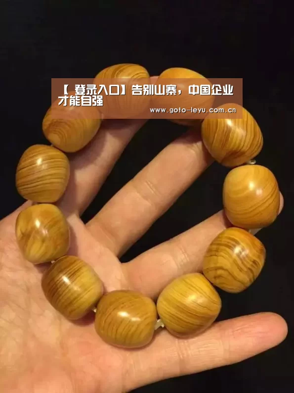  登录入口