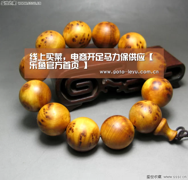  登录入口