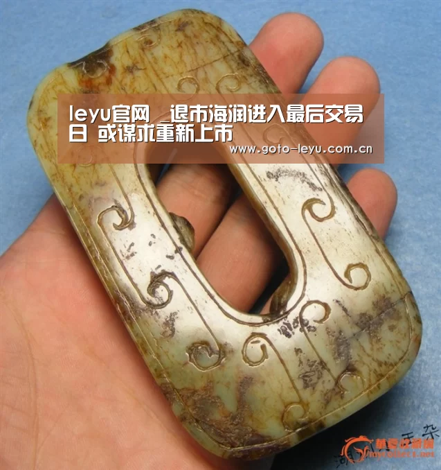 leyu官网 _退市海润进入最后交易日 或谋求重新上市(图1) 乐鱼官方首页