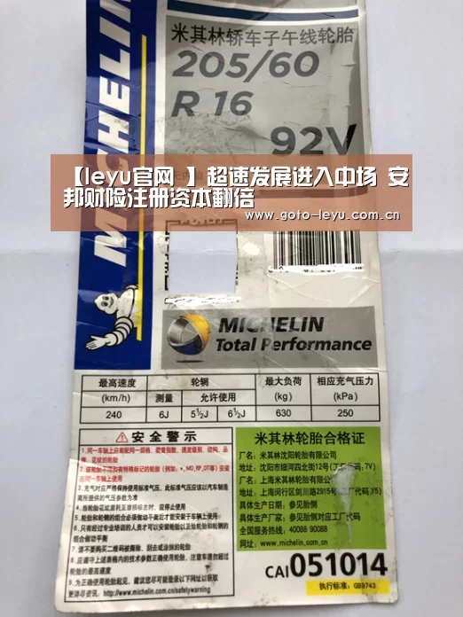 【leyu官网 】超速发展进入中场 安邦财险注册资本翻倍(图1) 乐鱼官方首页